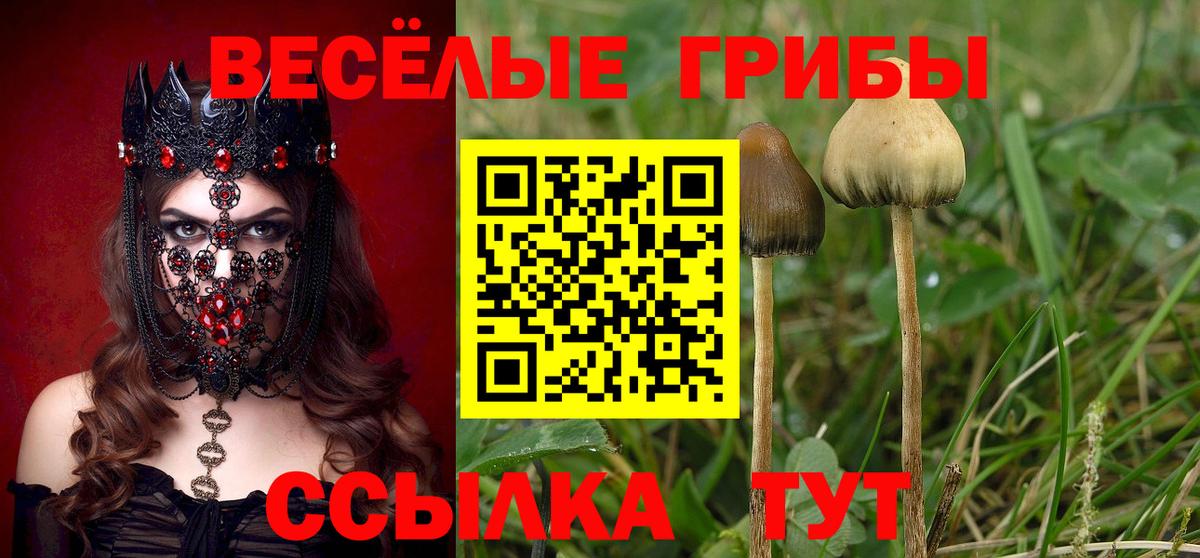 Галлюциногенные грибы мухоморы Вологда