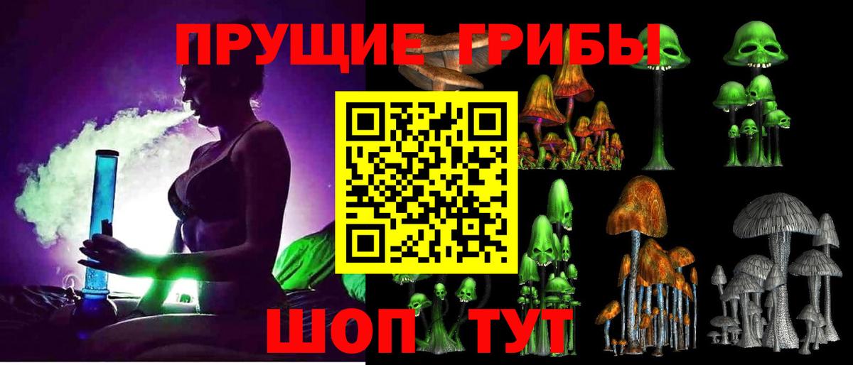 Псилоцибиновые грибы Psilocybe  Вход с VPN  Вологда 